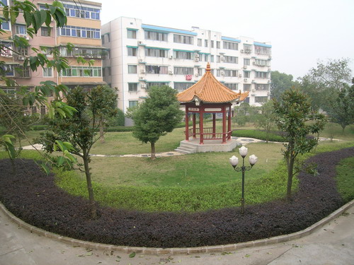 宿舍区绿化小区2